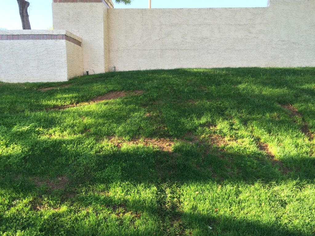 Slope behind monument